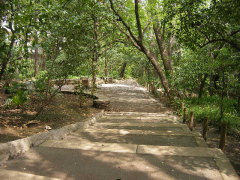 その他お役立ち・区立おとめ山公園